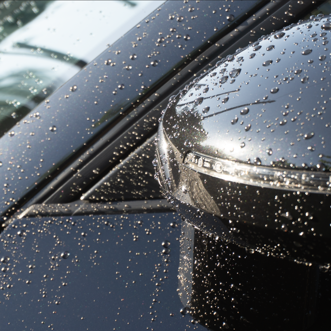 Ceramic Coating Protection